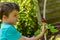 Kid harvesting radish