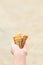 Kid holding sea shell in hand, sand background.