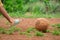 Kid Kicking the Old, Aged and Damaged Leather Soccer Ball, Football on Dirt Playground in the Rural Area