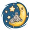 Kid Mouse sleeps on the moon. Dreaming a dream. Childrens illustration. Funny Night sky. The baby animal fell asleep