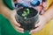 Kid planting vegetable sprout in a recycled plastic reused bottle. Concept for grow your own food at home for sustainable living.