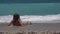 Kid playing on beach in sunset, child watching sea waves, girl plays on shore