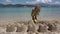 Kid Playing Sand Castle on Beach at Sunset, Child on Seashore, Girl on Coastline 4K