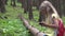 Kid Playing Smartphone Outdoor in Camping, Child use Tablet, Lost Girl in Forest