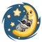 Kid Raccoon sleeps on the moon. Dreaming a dream. Childrens illustration. Funny Night sky. The baby animal fell asleep