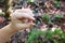 Kid`s Hand Holding Tiny Empty Snail Shell Outside in Forest