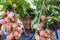 A kid showing lychees fruits, locally called Lichu at ranisonkoil, thakurgoan, Bangladesh.