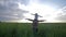 Kid sits on parent shoulders walking on meadow and play airplane with arms raised on rapeseed field on background sky in