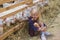 kid sitting on hay and goats biting