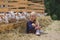 kid sitting on hay near goats behind fences at farm and looking