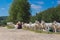 kid sitting near fence and looking at goats