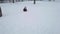 Kid Sledding in Snow, Child Playing in Winter, Little Girl Sledging Outdoor in Park