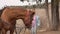 kid stroking a beautiful brown harnessed horse with a white spot