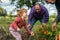 kid toddler picking carrots