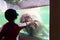 Kid touch glass of Hippo under water zoo aquarium with sun ligh