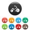 Kid tricycle icons set color