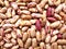 Kidney Beans