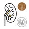 Kidney beans icon with stones disease inside. Kidneys logo.