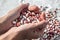 Kidney Beans, spotted in the hands of a woman, top view. Closeup of female hands sorting haricot beans