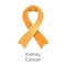 Kidney Cancer awareness month in March. Also called renal cancer. Orange ribbon Cancer Awareness Products.