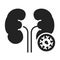 Kidney cancer glyph black icon. Oncology. Isolated vector element. Outline pictogram for web page, mobile app, promo