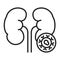 Kidney cancer line black icon. Oncology. Isolated vector element. Outline pictogram for web page, mobile app, promo.