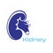 Kidney Care  illustration design logo template symbol