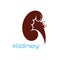 Kidney Care  illustration design logo template symbol