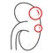 Kidney cyst thin line icon, Human diseases concept, Tumor with cysts sign on white background, Polycystic kidney disease