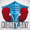 Kidney Day Design with Shield Protecting this Vital Organs, Vector Illustration