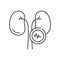 Kidney diseases icon, linear isolated illustration, thin line vector, web design sign, outline concept symbol with