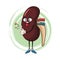 Kidney funny cartoon