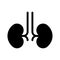 Kidney glyph vector icon