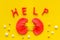 Kidney illness and treatment. Word help, organ, pills on yellow background top view