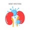 Kidney infection vector concept