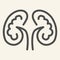 Kidney line icon. Kidneys symbol outline style pictogram on white background. Human urology system for mobile concept