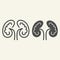 Kidney line and solid icon. Kidneys symbol outline style pictogram on white background. Human urology system for mobile