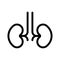 Kidney line vector icon