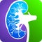 Kidney logo