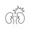 Kidney pain related vector thin line icon.