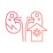 kidney problem, Causes, infection, line gradient icons