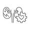 kidney problem, Causes, line editable icons