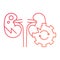 kidney problem, Causes, metabolism, line gradient icons