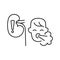 kidney problem, Symptoms, breathing problems, line editable icons