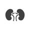 Kidney Related Vector Icon