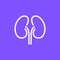 Kidney renal vector urology line icon. Outline disease kidney care clinic concept icon