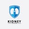 Kidney Shield Logo Template Design Vector, Emblem, Design Concept, Creative Symbol, Icon