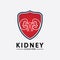 Kidney Shield Logo Template Design Vector, Emblem, Design Concept, Creative Symbol, Icon