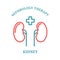 Kidney simple icon - nephrology department
