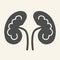 Kidney solid icon. Kidneys symbol glyph style pictogram on white background. Human urology system for mobile concept and